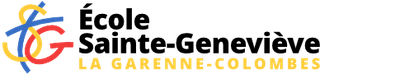 STEG_logo_006j.png